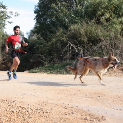 Muy buena participaci�n en el primer canicros de la temporada 2016/17