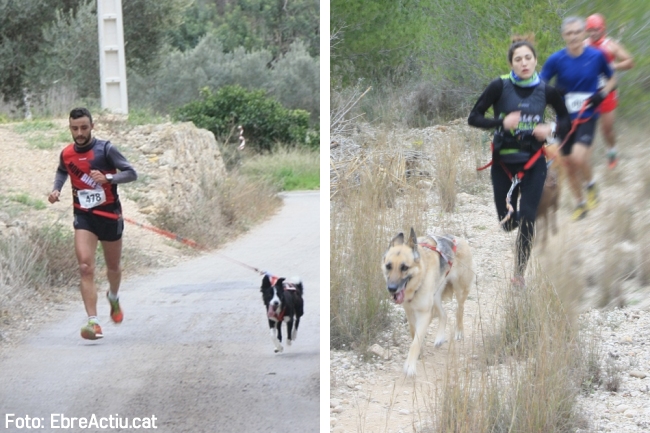Primer canicr�s de Tivenys amb 33 inscrits | EbreActiu.cat, revista digital d&rsquo;oci actiu | Terres de l&rsquo;Ebre ...
