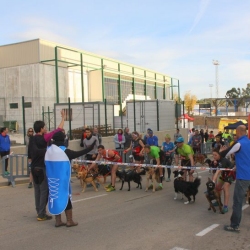 La R�pita acull la pen�ltima prova del II Circuit de Canicr�s TE