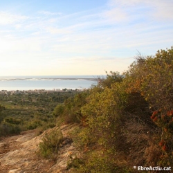 La R�pita acull la pen�ltima prova del II Circuit de Canicr�s TE