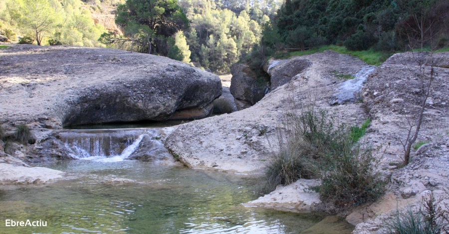 Descobreix la riquesa natural de la Terra Alta