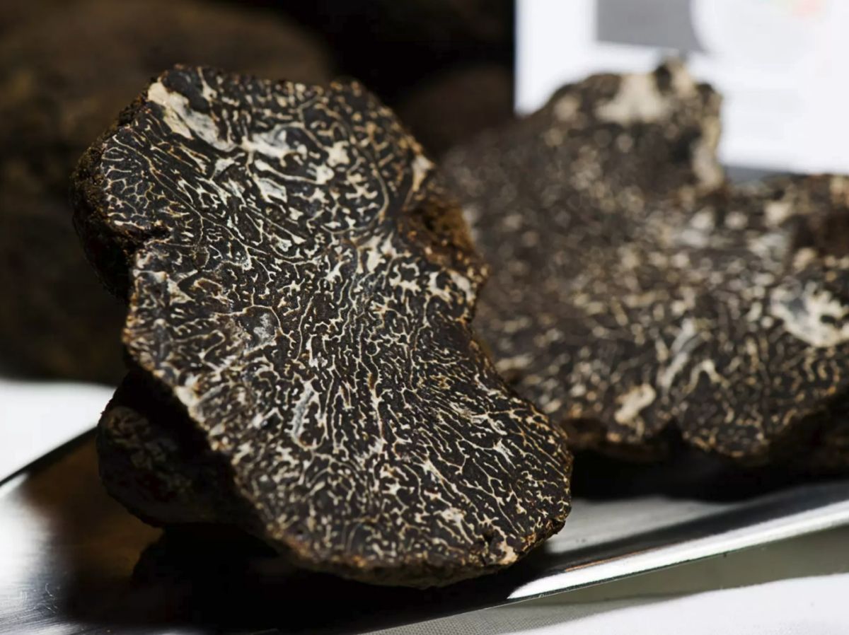 Tradici� i avantguarda, el car�cter de la gastronomia Human Land | EbreActiu.cat, revista digital d&rsquo;oci actiu | Terres de l&rsquo;Ebre ...