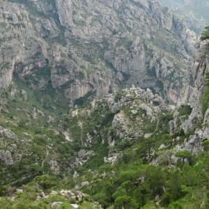 �lbum: ruta �Un Km vertical, dos moles i dos forats�