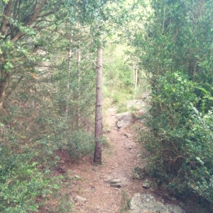 �lbum: ruta �Un Km vertical, dos moles i dos forats�