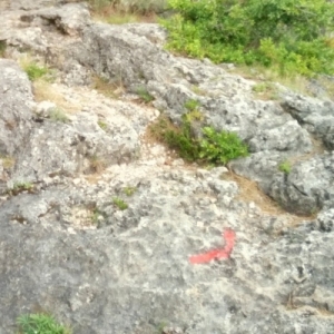 �lbum: ruta �Un Km vertical, dos moles i dos forats�