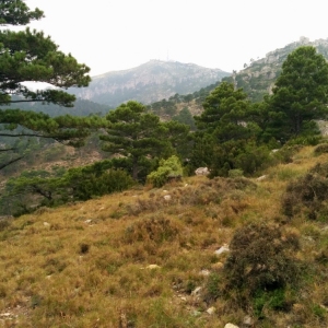 �lbum: ruta �Un Km vertical, dos moles i dos forats�