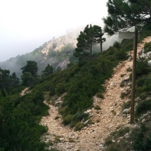 �lbum: ruta �Un Km vertical, dos moles i dos forats�