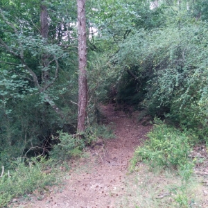 �lbum: ruta �Un Km vertical, dos moles i dos forats�