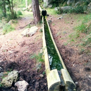 �lbum: ruta �Un Km vertical, dos moles i dos forats�