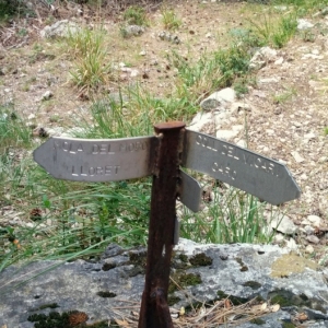 �lbum: ruta �Un Km vertical, dos moles i dos forats�