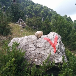 �lbum: ruta �Un Km vertical, dos moles i dos forats�