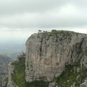 �lbum: ruta �Un Km vertical, dos moles i dos forats�