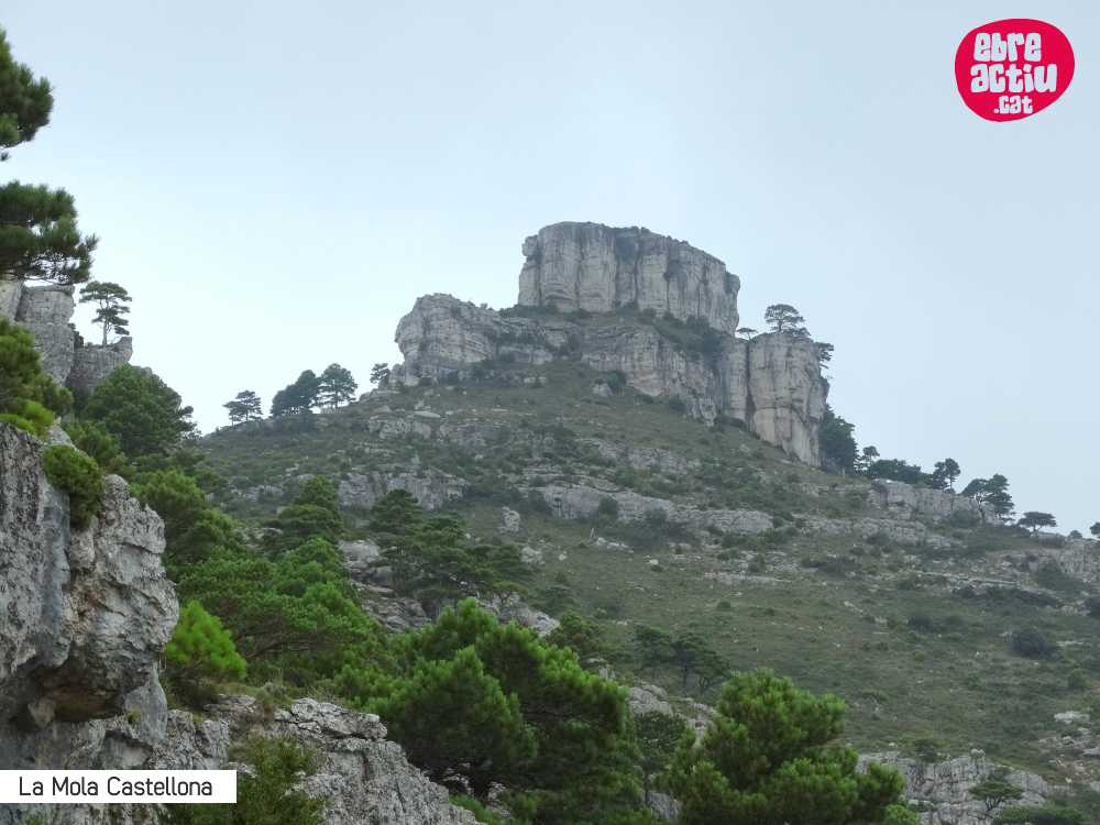 Un Km vertical, dos moles i dos forats | EbreActiu.cat, revista digital d&rsquo;oci actiu | Terres de l&rsquo;Ebre ...