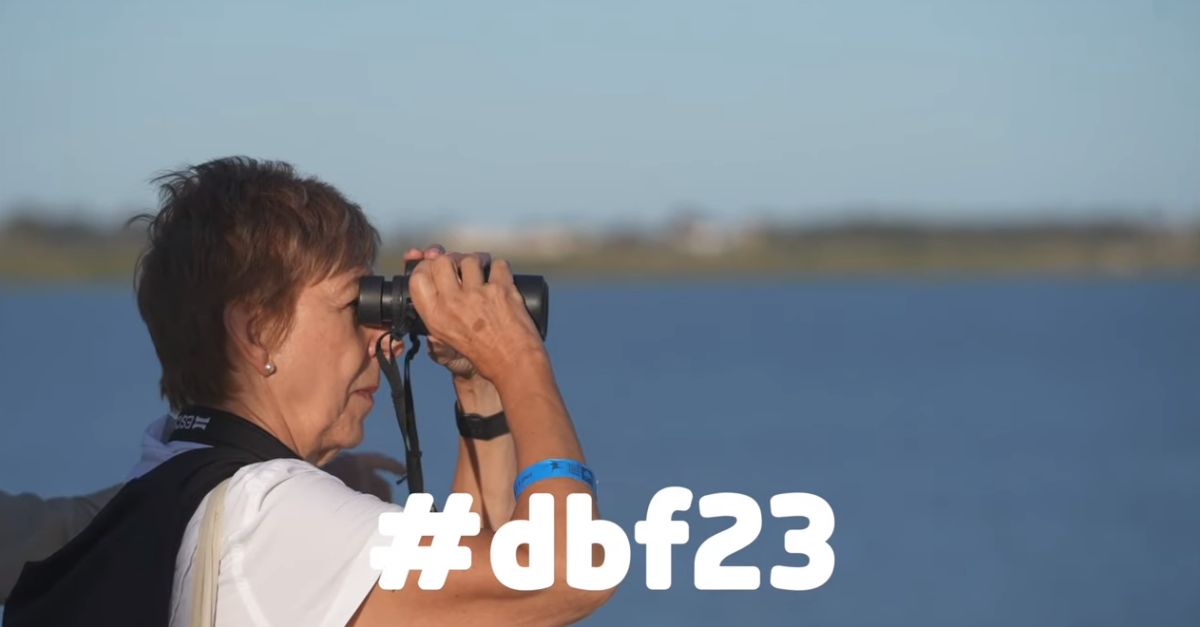 Ya se puede consultar el vdeo-resumen completo del Delta Birding Festival 2023