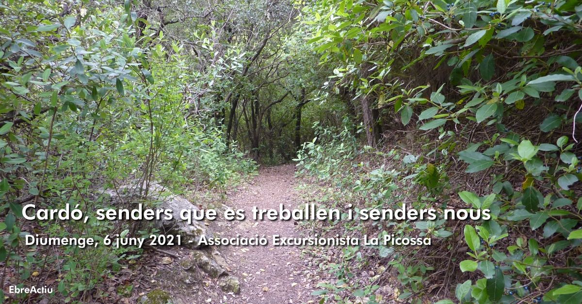 Card�, senderos que se trabajan y senderos nuevos