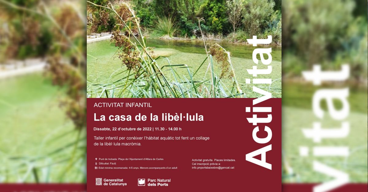 Taller infantil La casa de la lib�l�lula