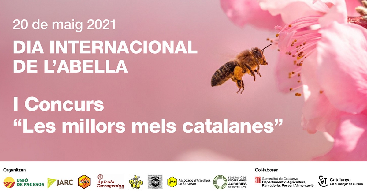 Catalunya celebra el Dia internacional de les Abelles amb el primer concurs Les millors mels catalanes