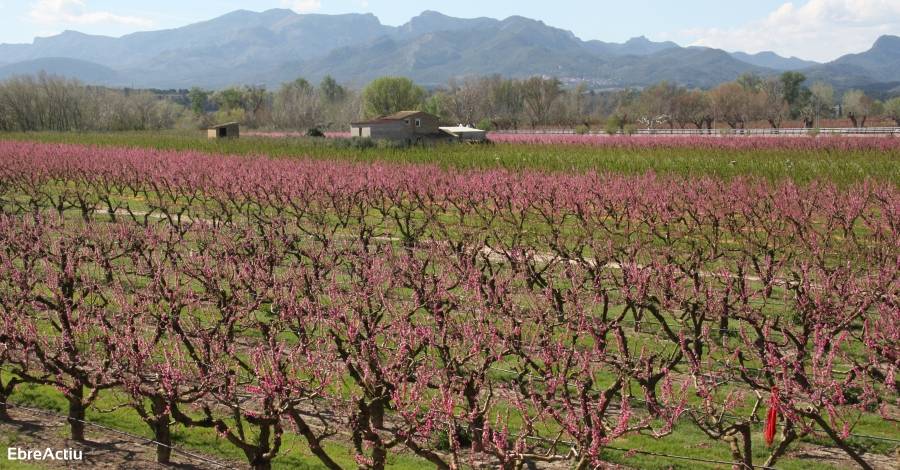 Catalunya lidera el projecte europeu Med Pearls per potenciar l&rsquo;Slow Tourism | EbreActiu.cat, revista digital d&rsquo;oci actiu | Terres de l&rsquo;Ebre ...