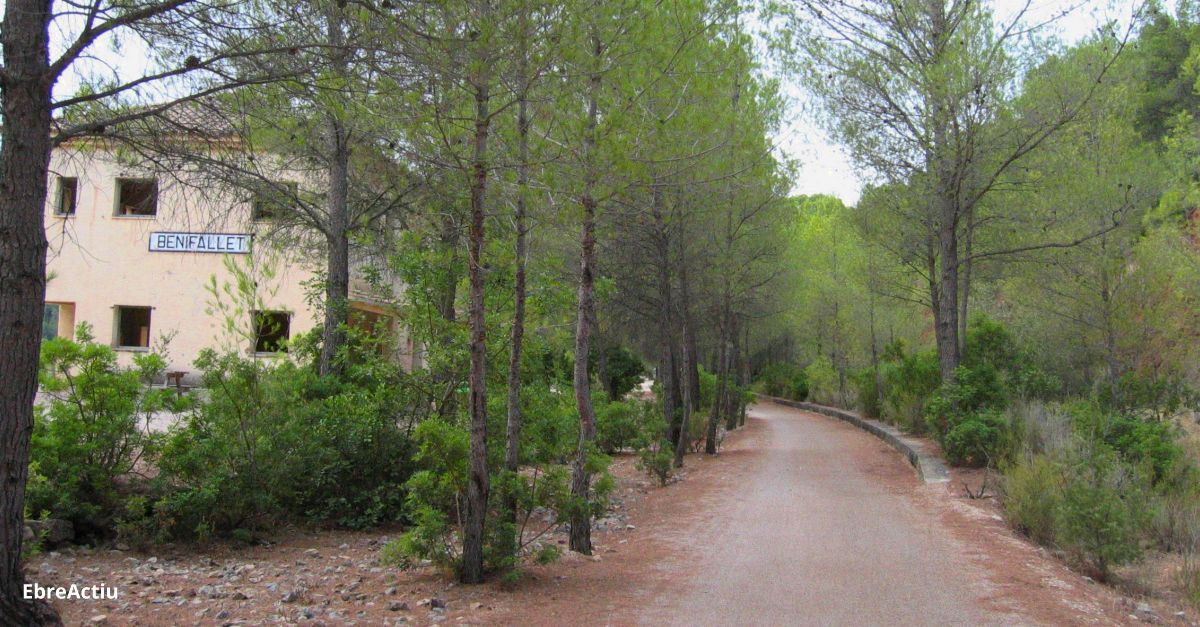 El Consell Comarcal del Baix Ebre convoca el Premi de Fotografia a Instagram