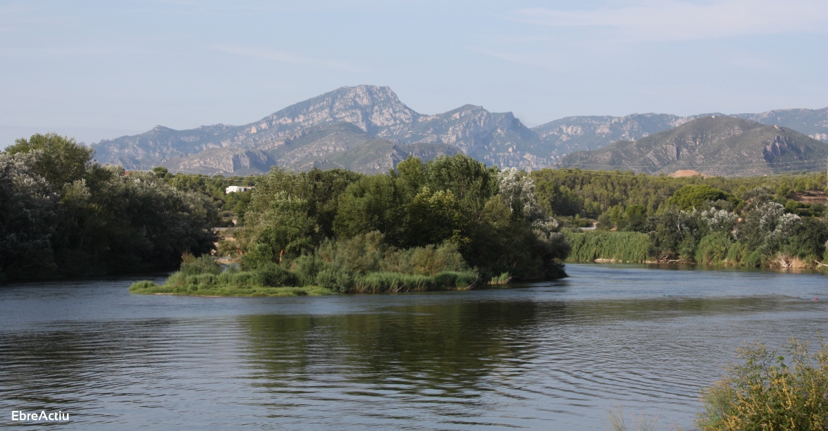 El ple del Consell Comarcal del Baix Ebre rebutja un transvasament de lEbre a Cantbria