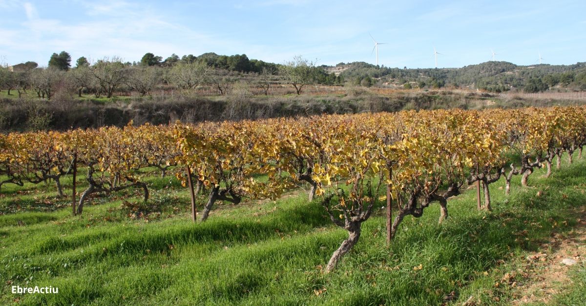 El Consell Comarcal signa un acord amb lAssociaci de Turisme Rural de la Terra Alta per promocionar conjuntament la comarca