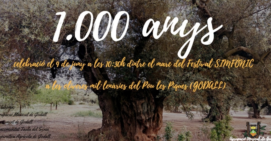 Celebraci�n 1.000 a�os de un olivo en Godall