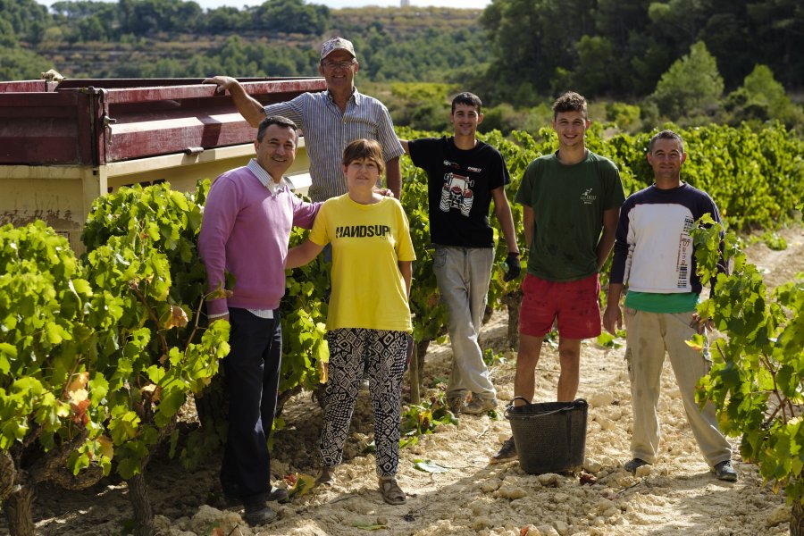 Celler Pi�ol - Batea, DO Terra Alta | EbreActiu.cat, revista digital d&rsquo;oci actiu | Terres de l&rsquo;Ebre ...