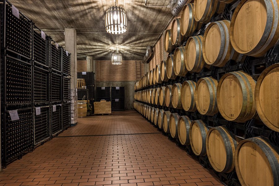 Celler Pi�ol - Batea, DO Terra Alta | EbreActiu.cat, revista digital d&rsquo;oci actiu | Terres de l&rsquo;Ebre ...