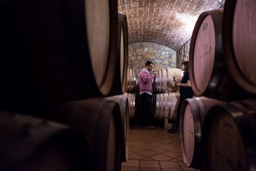 Celler Pi�ol - Batea, DO Terra Alta | EbreActiu.cat, revista digital de ocio activo | Terres de l&rsquo;Ebre...