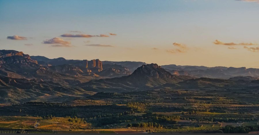 Celler Pi�ol - Batea, DO Terra Alta | EbreActiu.cat, revista digital de ocio activo | Terres de l&rsquo;Ebre...