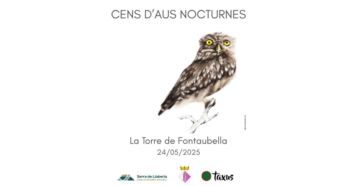Censo de aves nocturnas en la Serra de Llaberia