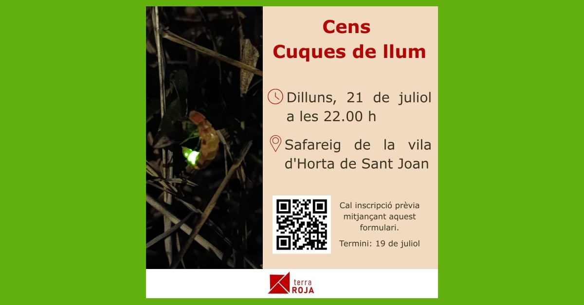 Cens de cuques de llum