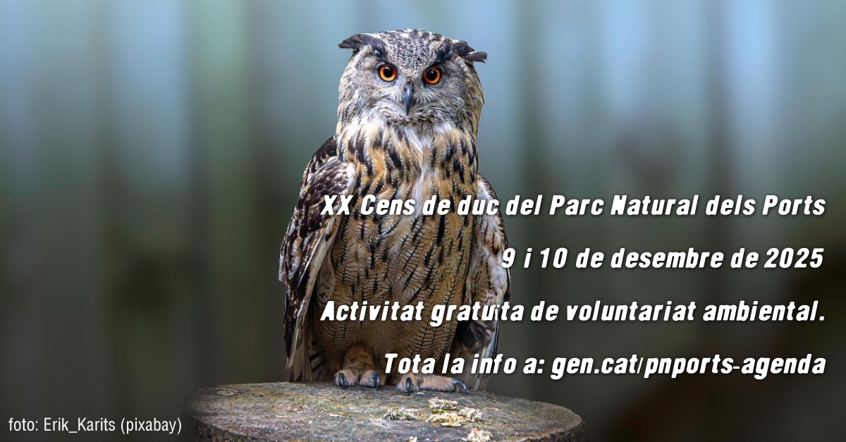 XX Censo de b�ho real del Parque Natural dels Ports