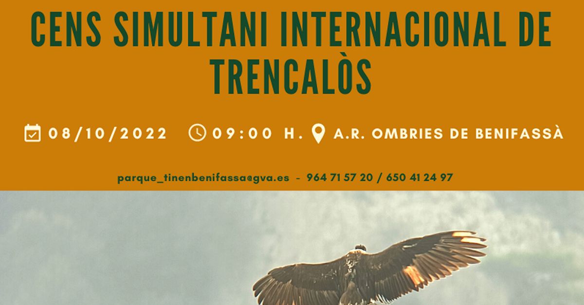 Cens simultani internacional de trencal�s