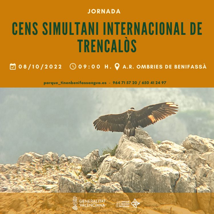 Cens simultani internacional de trencalòs Cens simultani internacional de trencalòs