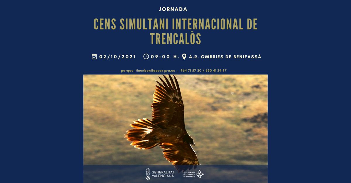Censo simult�neo internacional de quebrantahuesos