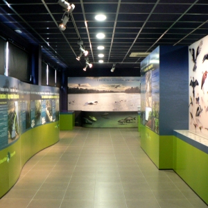 El Centre dInterpretaci del bosc de ribera dAldover