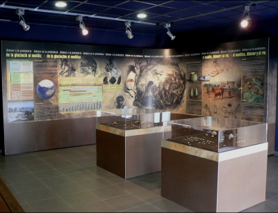 El Centre d&rsquo;Interpretaci� del bosc de ribera d&rsquo;Aldover | EbreActiu.cat, revista digital d&rsquo;oci actiu | Terres de l&rsquo;Ebre ...