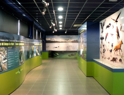 El Centre d’Interpretaci del bosc de ribera d’Aldover | EbreActiu.cat, revista digital d’oci actiu | Terres de l’Ebre ...