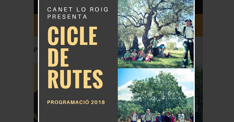 Ciclo de rutas Canet Lo Roig: La m�sica de los olivos milenarios
