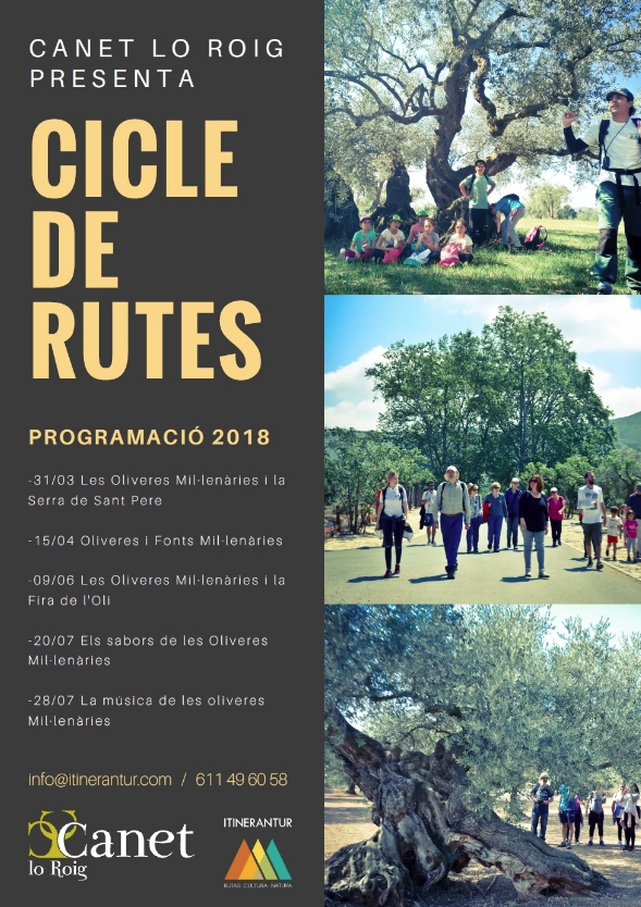 Cicle de rutes Canet Lo Roig: Els sabors de les oliveres mil�len�ries