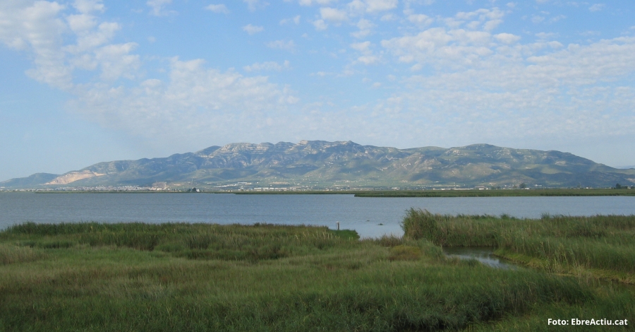 Una cincuentena de actividades para celebrar el D�a Europeo de los Parques | EbreActiu.cat, revista digital de ocio activo | Terres de l&rsquo;Ebre...