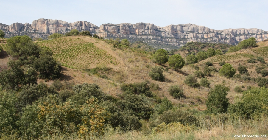 Una cinquantena d&rsquo;activitats per celebrar el Dia Europeu dels Parcs | EbreActiu.cat, revista digital d&rsquo;oci actiu | Terres de l&rsquo;Ebre ...