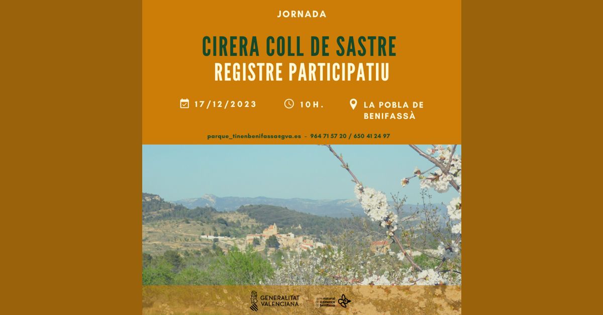 Acte per a la recuperaci� de la cirera de Coll de Sastre