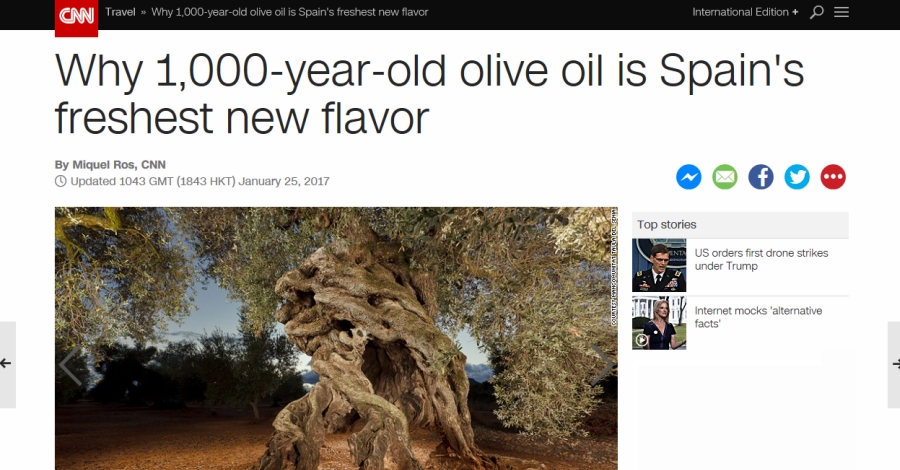 El web de la CNN se�n fa ress� de les oliveres mil�len�ries del Montsi�