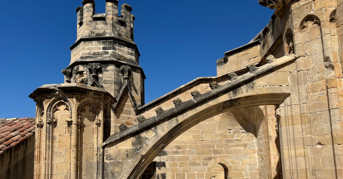 Restauren mig miler d’elements arquitectnics i escultrics gtics de la coberta de la Catedral de Tortosa | EbreActiu.cat, revista digital d’oci actiu | Terres de l’Ebre ...