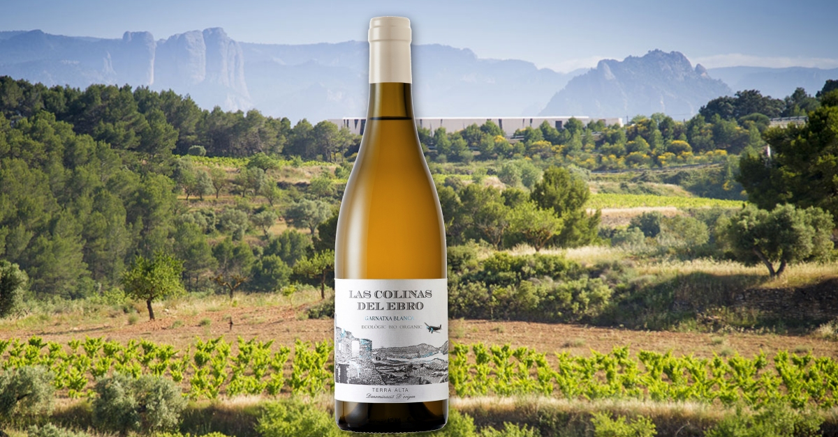 El vi Colinas del Ebro blanc de la Terra Alta obt 95 punts Decanter