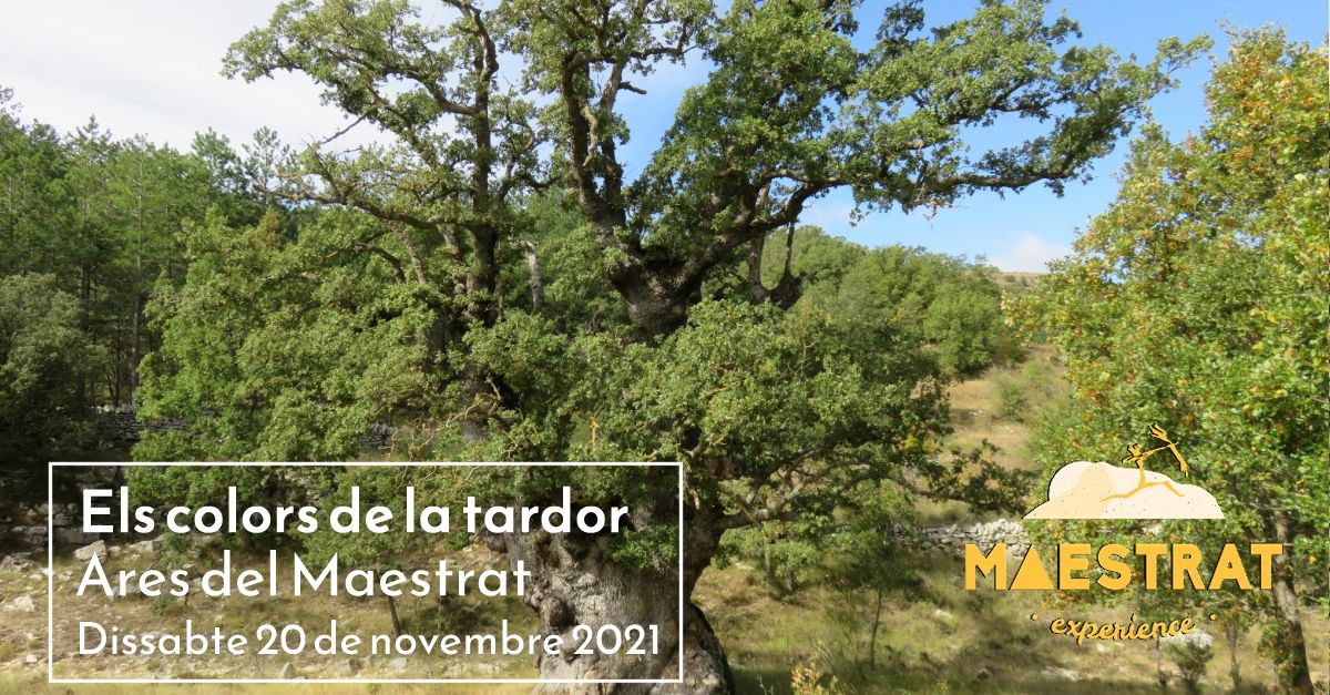 Los colores del oto�o. Ares del Maestrat