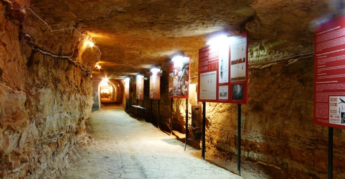 Consorcio Memorial de los Espacios de la Batalla del Ebro (COMEBE) | EbreActiu.cat, revista digital de ocio activo | Terres de l’Ebre...