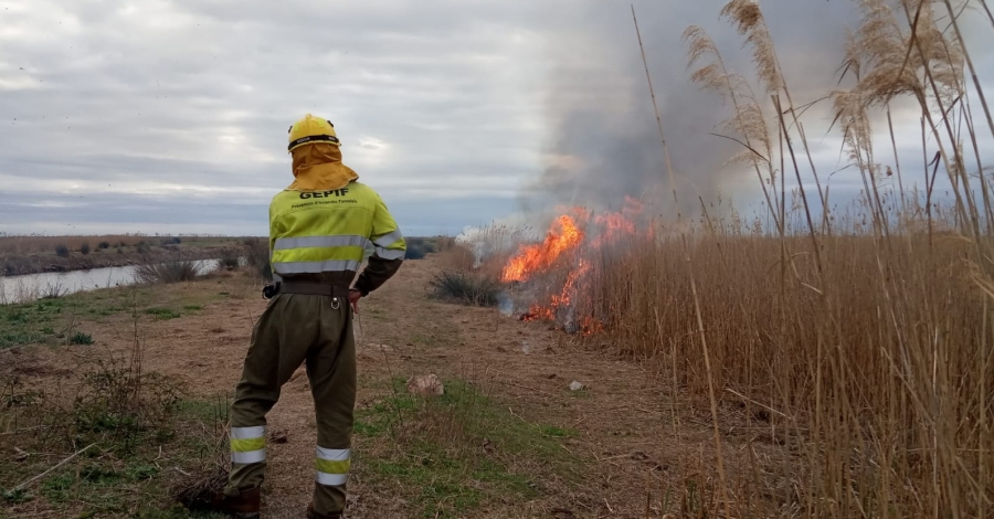 Comencen les cremes controlades al Parc Natural del Delta de l’Ebre | EbreActiu.cat, revista digital d’oci actiu | Terres de l’Ebre ... Comencen les cremes controlades al Parc Natural del Delta de l’Ebre | EbreActiu.cat, revista digital d’oci actiu | Terres de l’Ebre ...